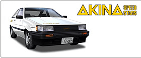 LEVIN SR [AE85]